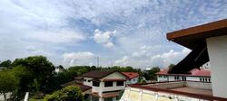 Leedon Park (D10), Detached #617884561